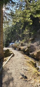 Sentier au bord de l'eau vive en Valais ressource naturelle et santé.
