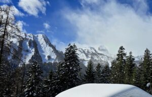 Sommet des Alpes valaisannes émergeant du brouillard neige et forêt.