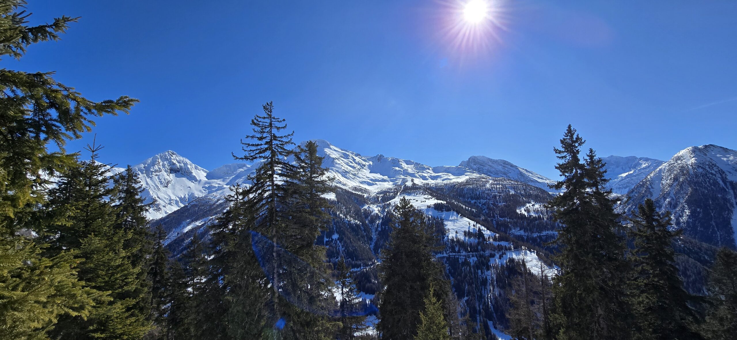 Randonnée hivernale : Rosswald (25.02.26)