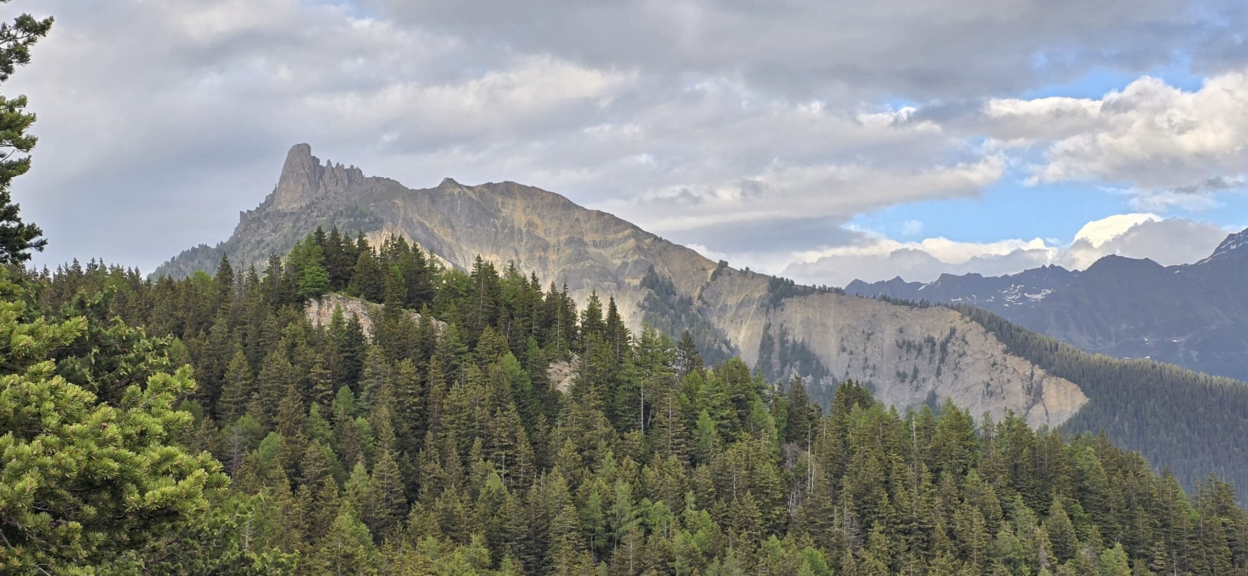 Territoire sauvage