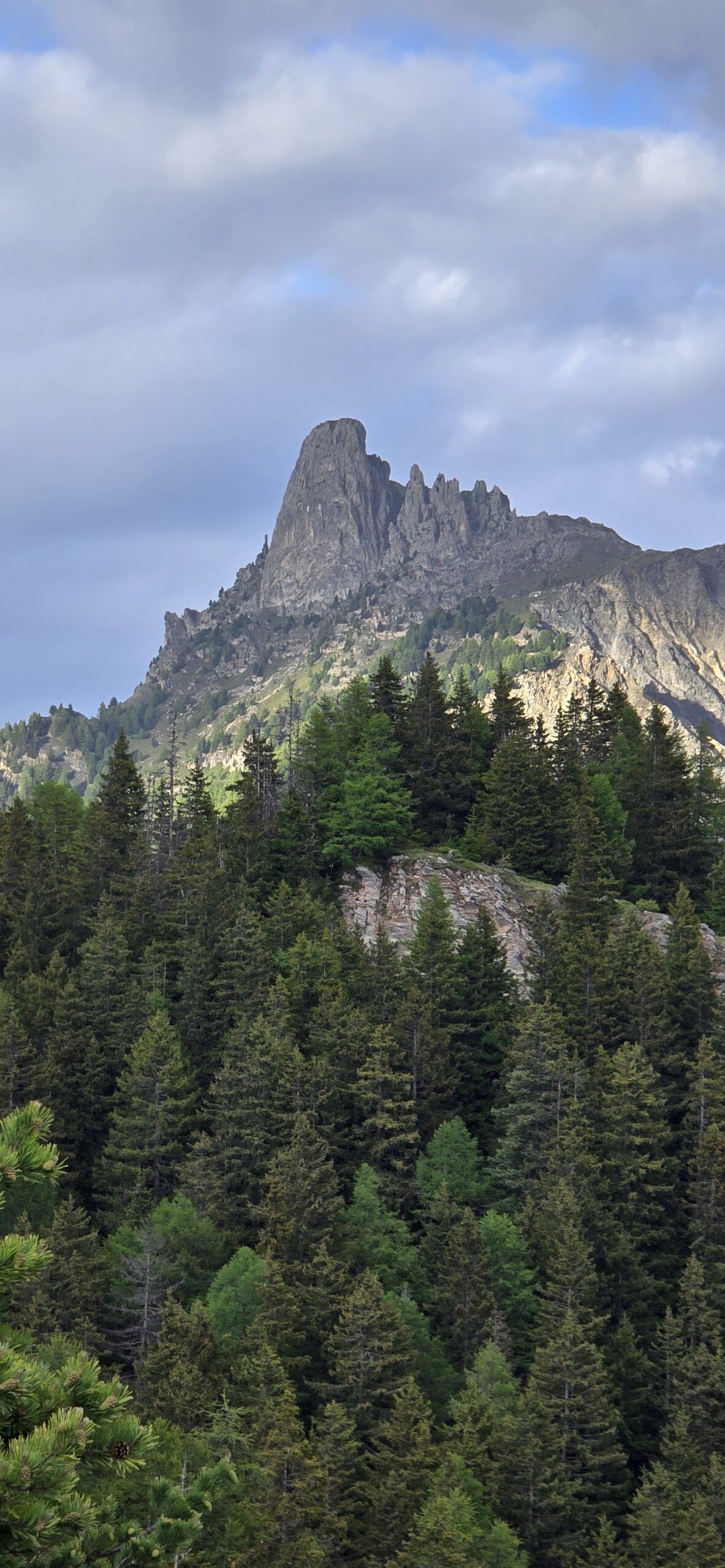 Bisse du Levron et paysage forestier sous Pierre-Avoi